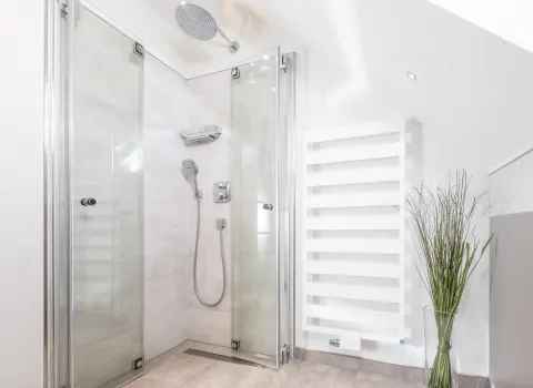 Bodengleiche Glasdusche mit Regendusche, Design-Heizkörper und dekorativer Pflanze im hellen Dachbad.